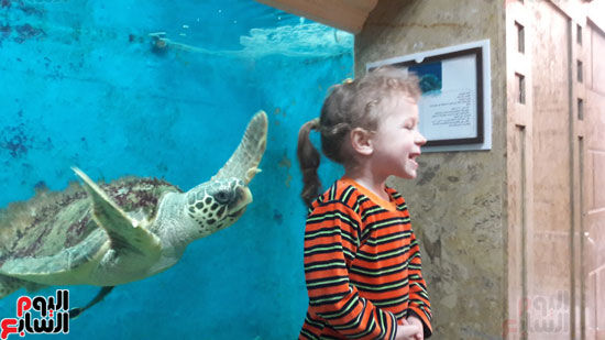طفلة تلتقط الصور مع السلحفاة البحرية