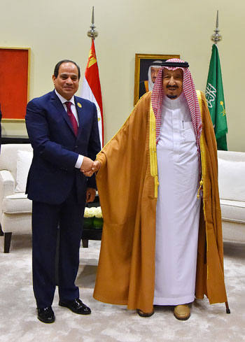 السيسى والملك سلمان القمه العربيه (9)