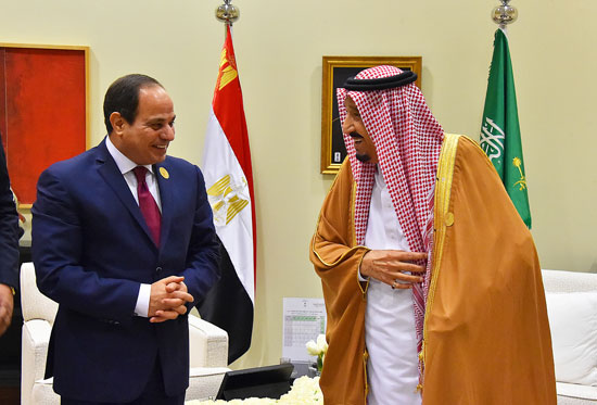 السيسى والملك سلمان القمه العربيه (10)
