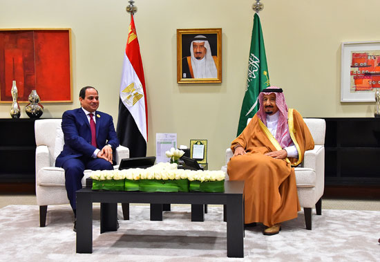 السيسى والملك سلمان القمه العربيه (6)