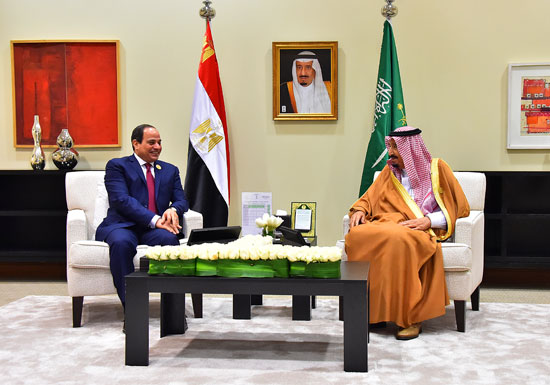 السيسى والملك سلمان القمه العربيه (7)