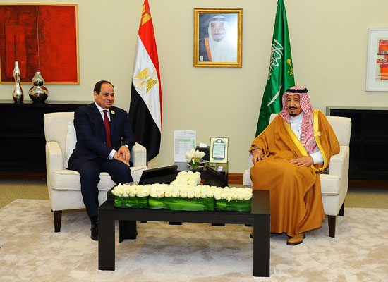 السيسى والملك سلمان القمه العربيه (14)