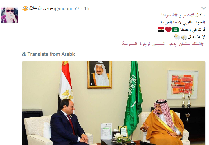 ترحيب سعودى بزيارة الرئيس للمملكة (4)