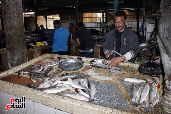 أسماك البوري  في مارس يرتفع سعرها  بسبب فسيخ شم النسيم 