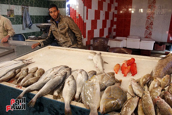   سوق الأسماك بالسويس  عرض  كبير  ببيع  قليل 