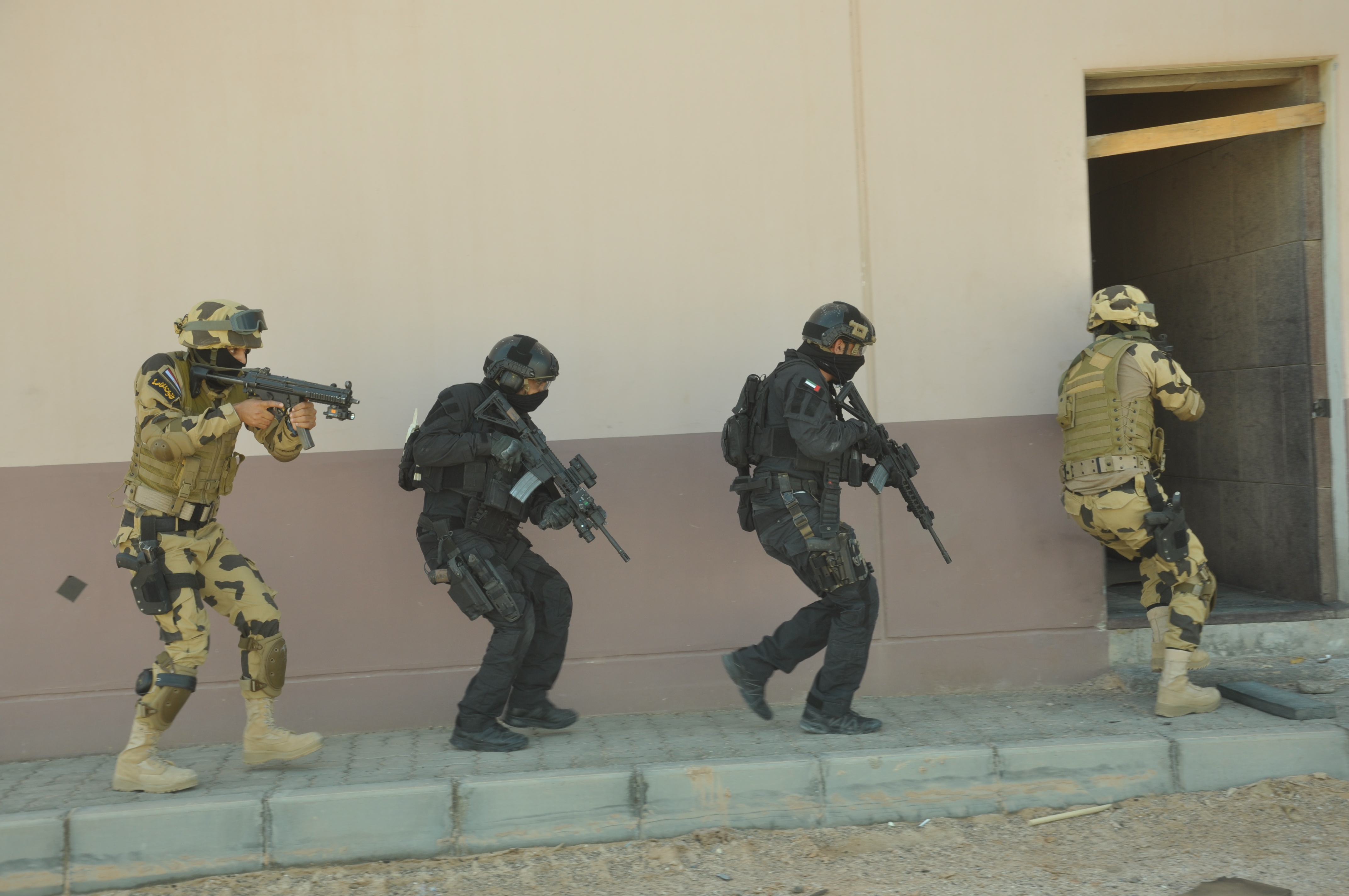 -مصر والإمارات تنتهيان من مناورات زايد ٢