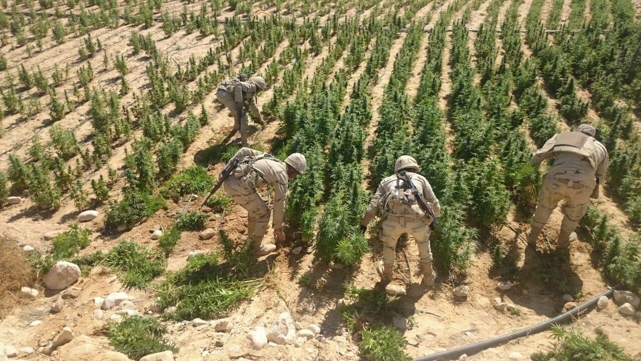 قوات الجيش فى وسط سيناء (3)