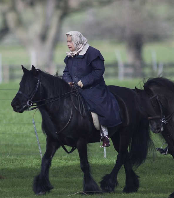ملكة بريطانيا تركب حصان