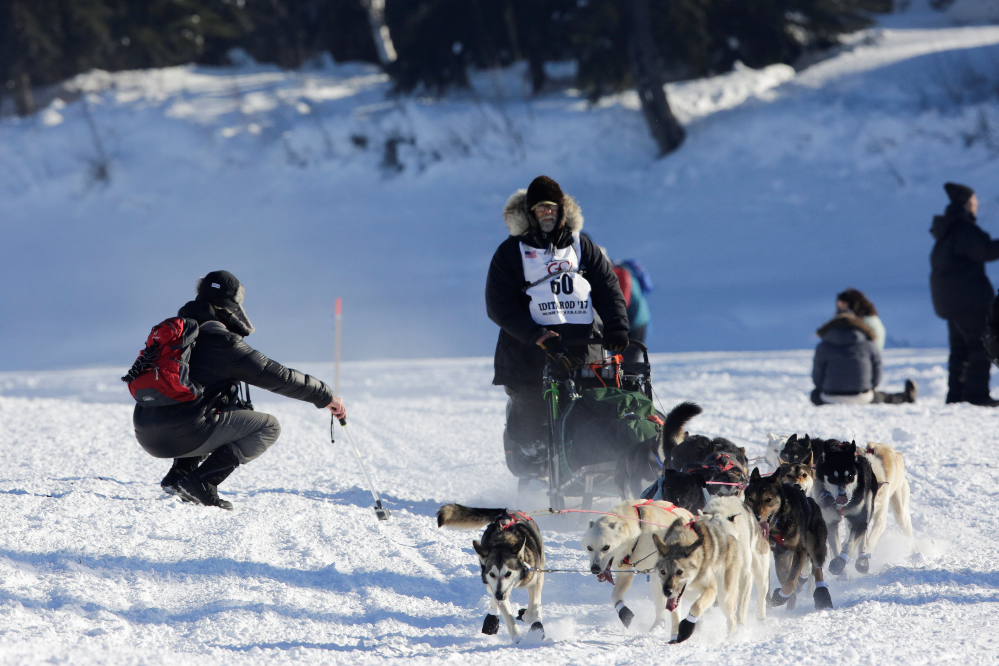 تسابق عشرات الكلاب فى مسابقة للتزلج بألاسكا