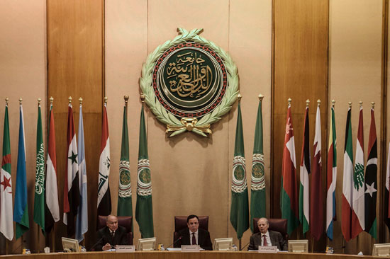 جامعه الدول العربية (7)