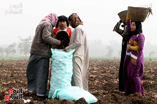 اليوم العالمى للمرأة (8)