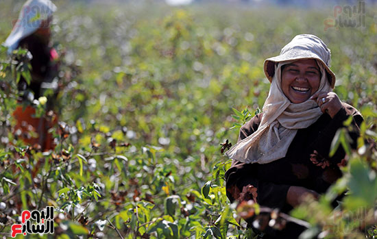 اليوم العالمى للمرأة (23)