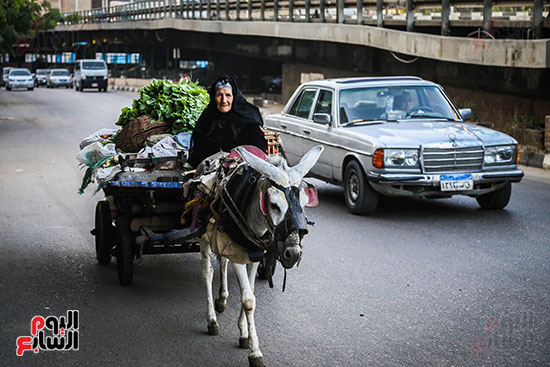 اليوم العالمى للمرأة (28)