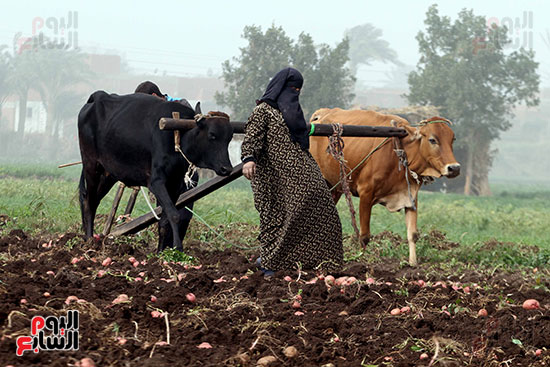 اليوم العالمى للمرأة (26)