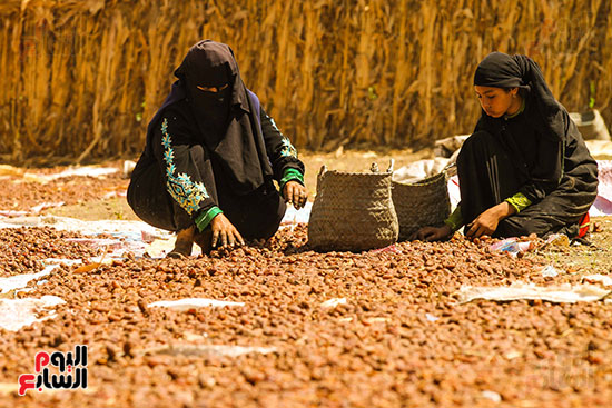 اليوم العالمى للمرأة (14)