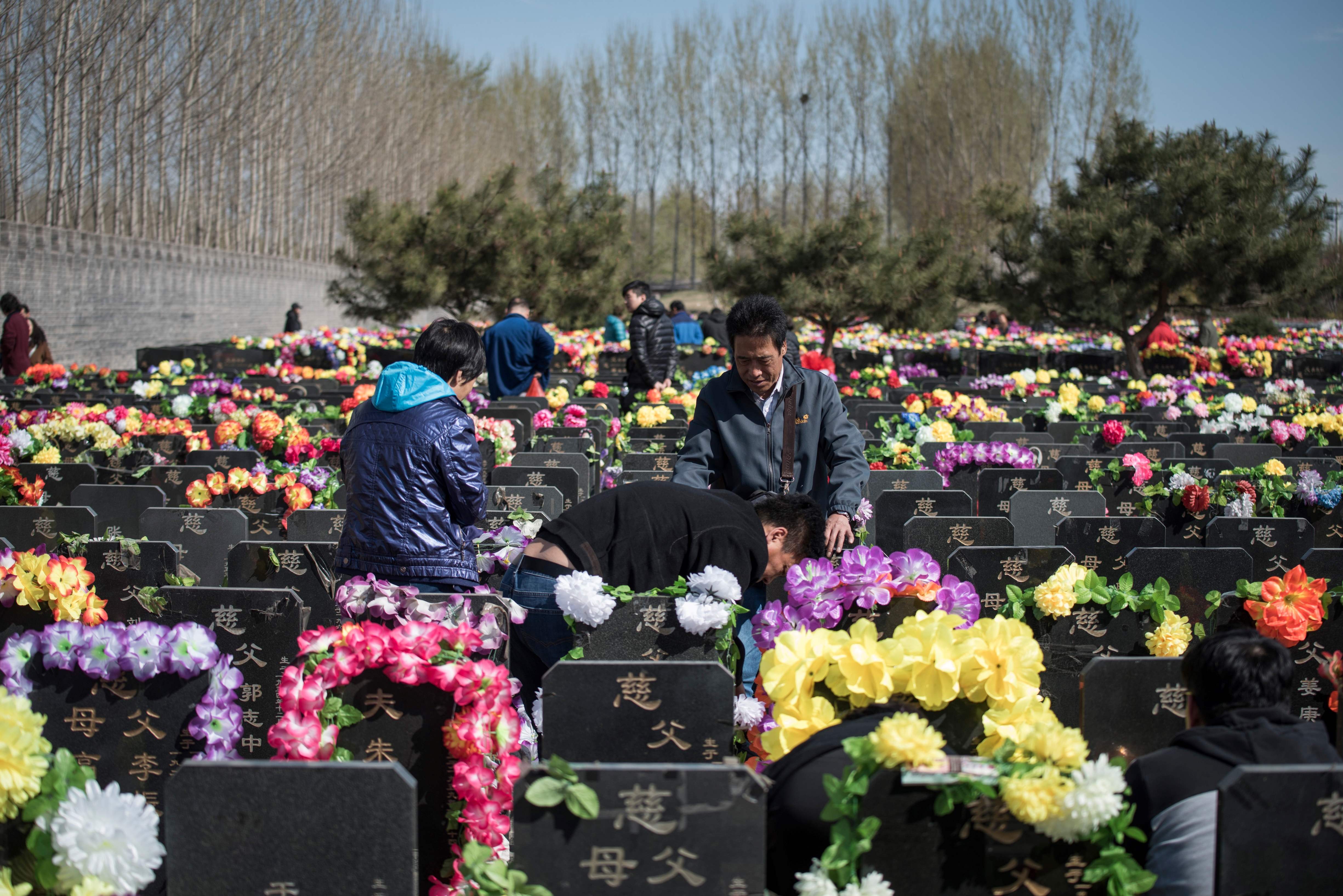 وضع الورود على المقابر قبل الاحتفال الصينى