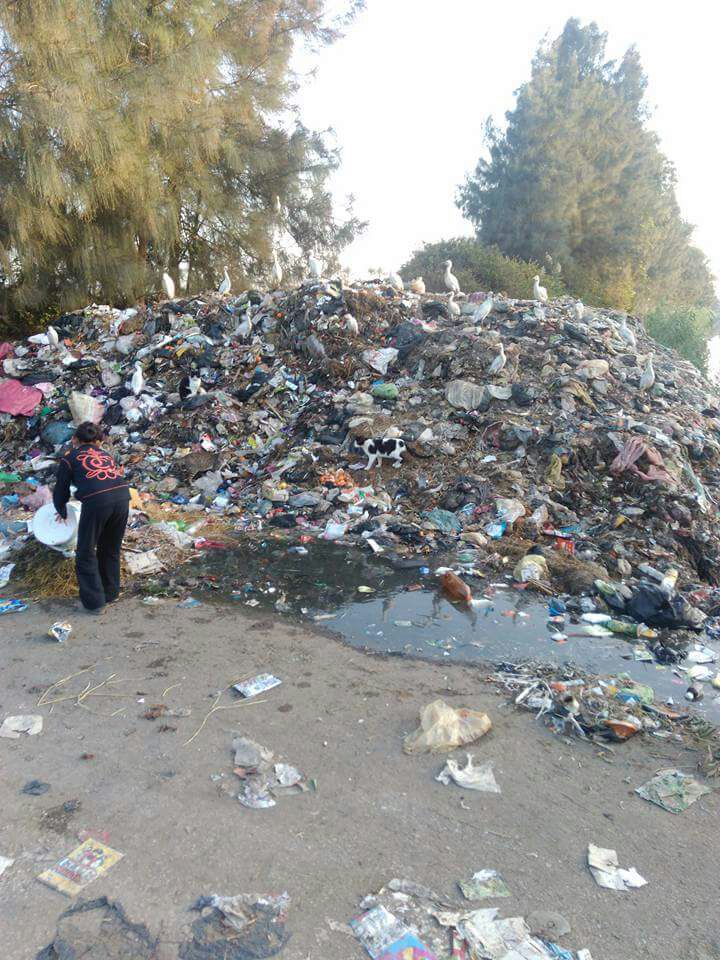القمامة تهدد حياة المواطنين