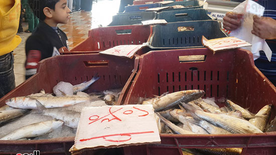 أسعار سمك "القطع"