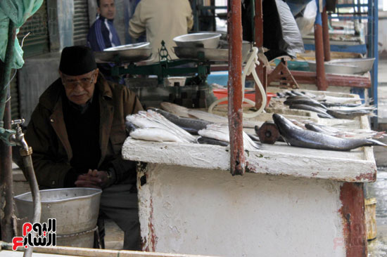 أسواق--السمك--بالإسماعيلية----تصوير-محمد-عوض---(18)