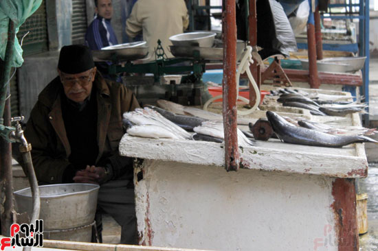 الحاج كمال السحراوي أحد أقدم تجار الأسماك  