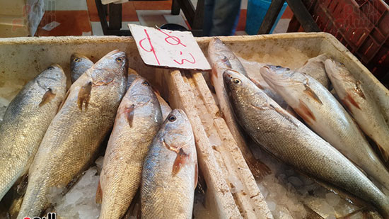 أسعار السمك داخل السوق