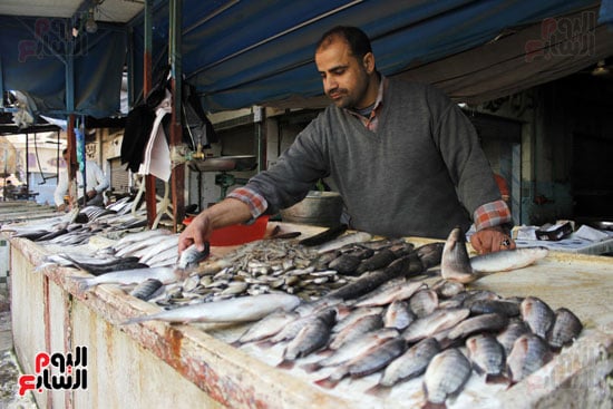 أسواق--السمك--بالإسماعيلية----تصوير-محمد-عوض---(13)