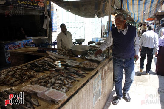 أسواق--السمك--بالإسماعيلية----تصوير-محمد-عوض---(10)