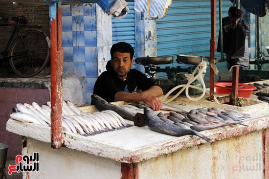 أسواق--السمك--بالإسماعيلية----تصوير-محمد-عوض---(15)