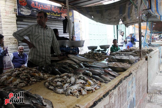 أسواق--السمك--بالإسماعيلية----تصوير-محمد-عوض---(20)