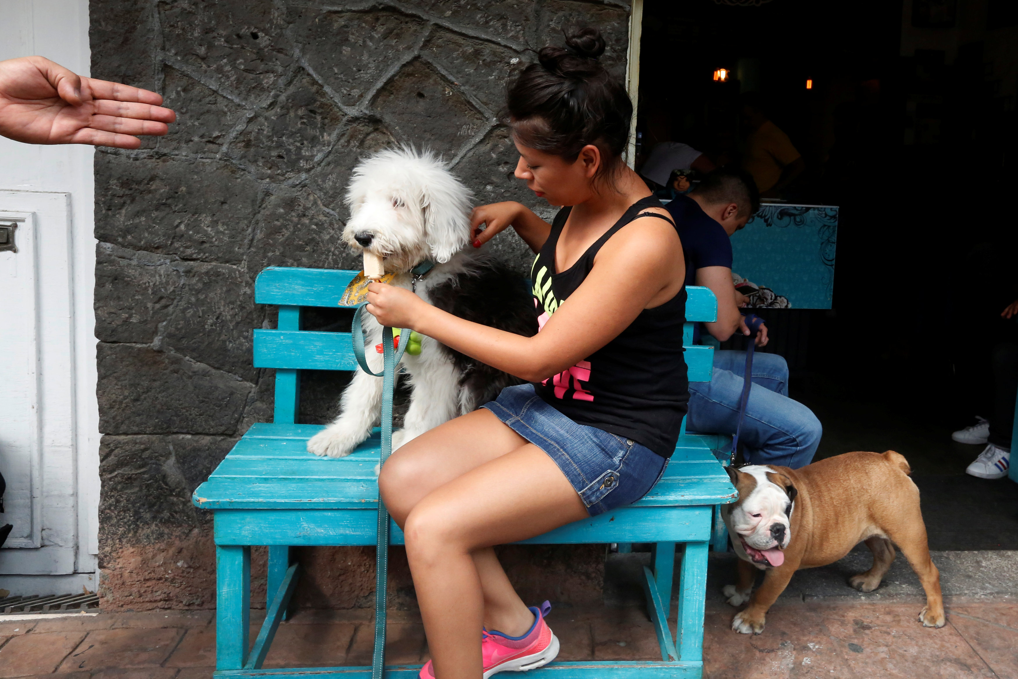 فتاة تجلس بجوار كلبها لإطعامه الايس كريم