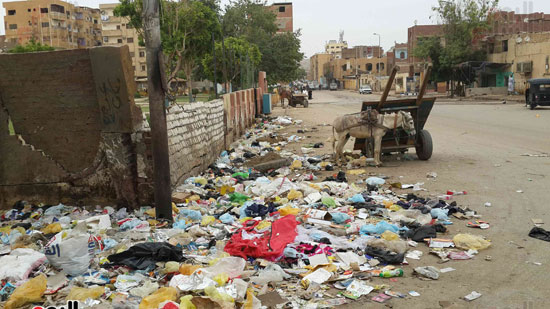 انتشار القمامة فى شوارع أسوان 