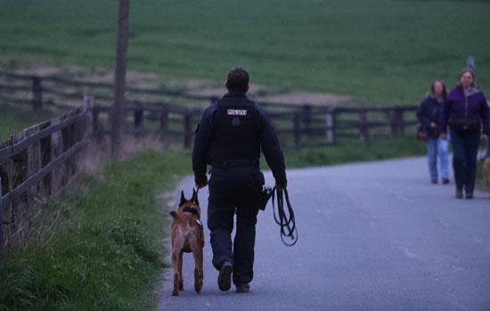  أحد رجال الشرطة يستكشف الموقع بواسطة كلب مُدرب
