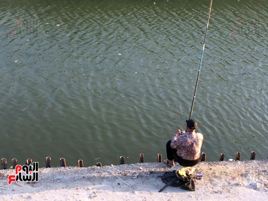 15 - يمتلئ المفيض  بالمياه والأسماك القادمة من بحيرة التمساح ونهاية  فرع  ترعة الإسماعيلية.