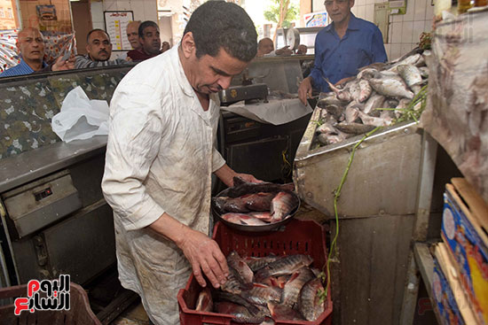 طرح السمك بمنافذ الشركة المصرية لتسويق الأسماك بأسعار مخفضة 