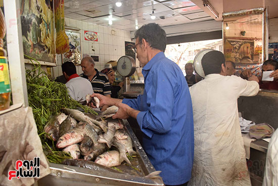 بيع السمك البلطى بأسعار تتراوح من 6 إلى 18 جنيهًا حسب حجم السمكة