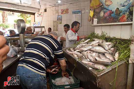 بيع الأسماك الطازة للمواطنين 