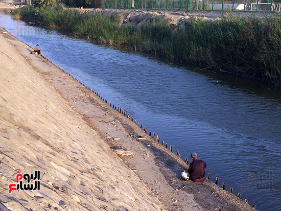 مع قلة أماكن الصيد فى الإسماعيلية يتجمع الهواة على ترعة مفيض بحيرة التمساح 