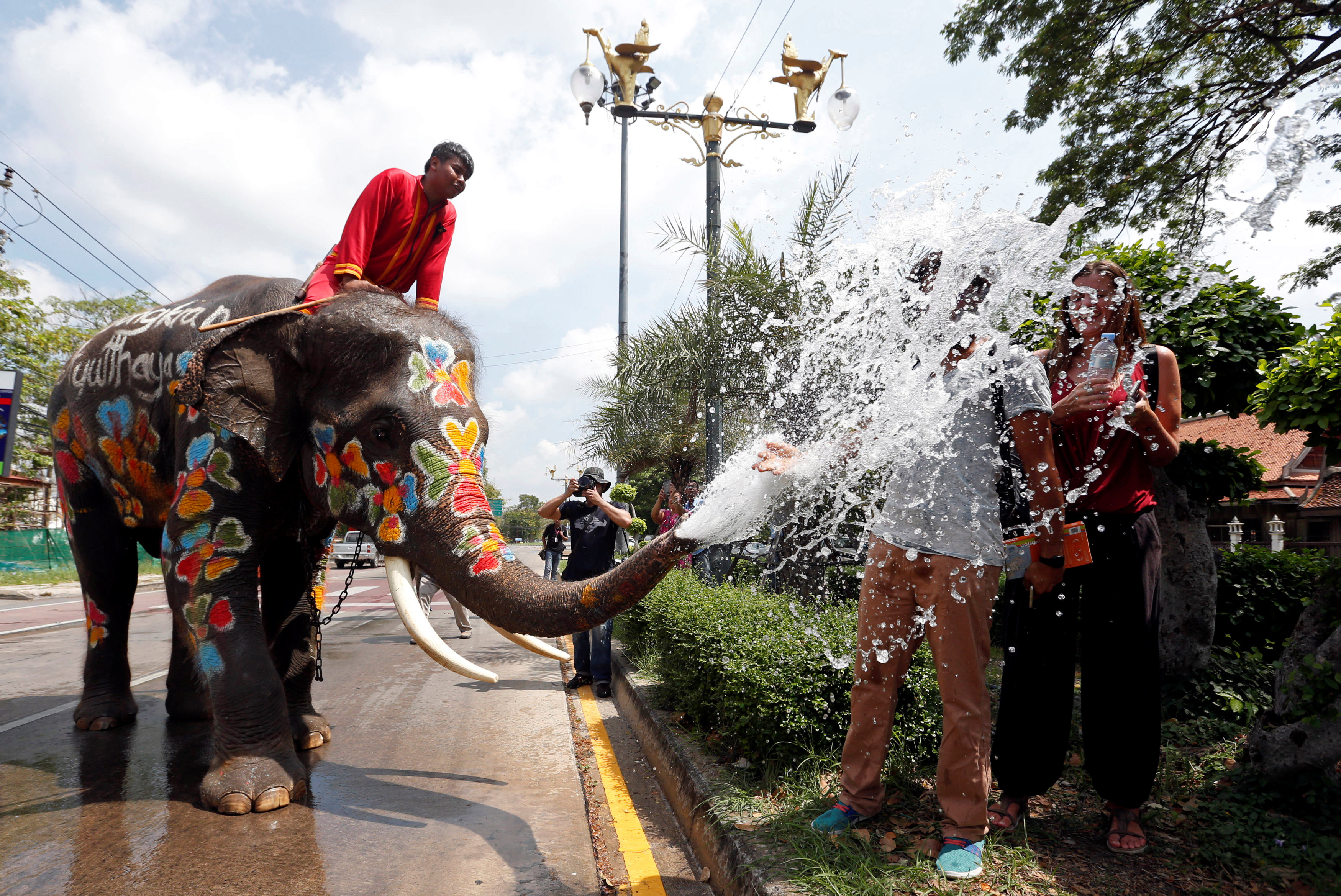 فيل يرش المياه على السياح