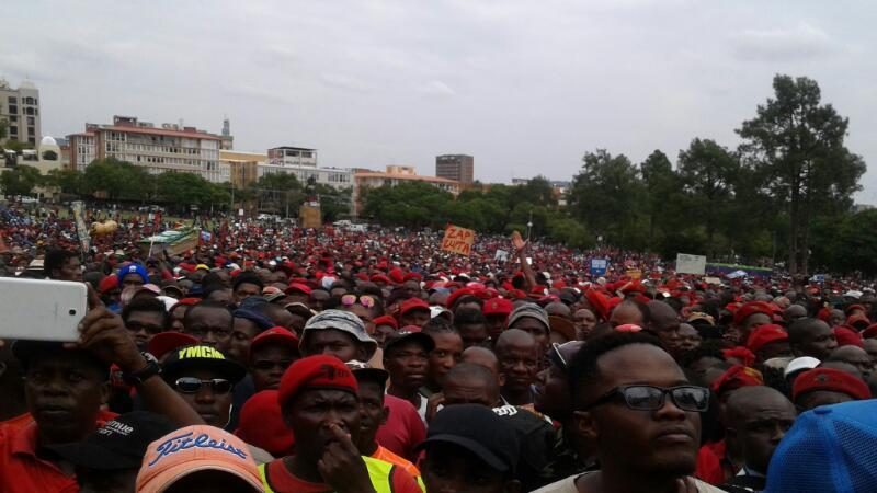 حشود ضد زوما