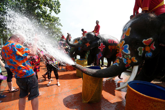 انطلاق فاعليات مهرجان العيد السنوى لرش المياه بالأفيال فى تايلاند