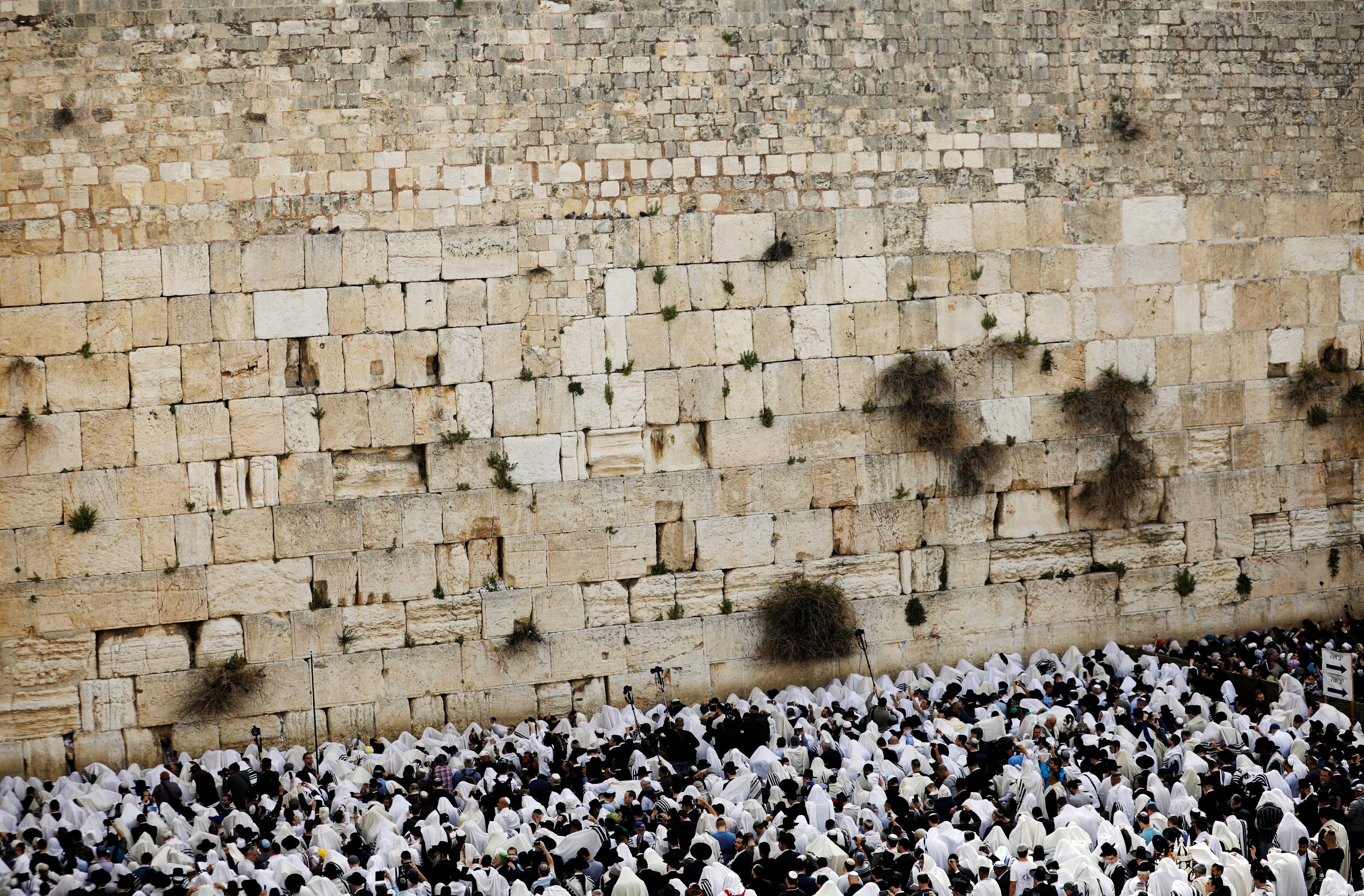 اليهود أمام حائط المبكى