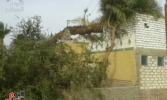الأشجار سقطت على مسجد القرية