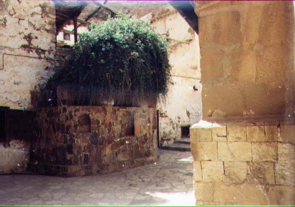 شجرة العليقة المقدسة داخل دير سانت كاترين