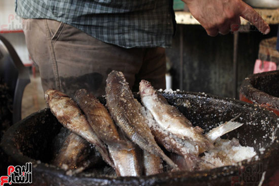 سوق-الأسماك-المملحة-في-الاسماعيلية-(13)