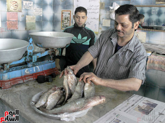 سوق-الأسماك-المملحة-في-الاسماعيلية-(2)