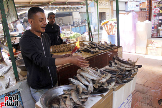 سوق-الأسماك-المملحة-في-الاسماعيلية-(1)
