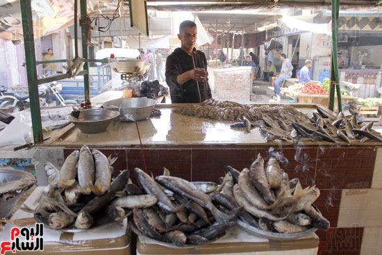 سوق-الأسماك-المملحة-في-الاسماعيلية-(21)