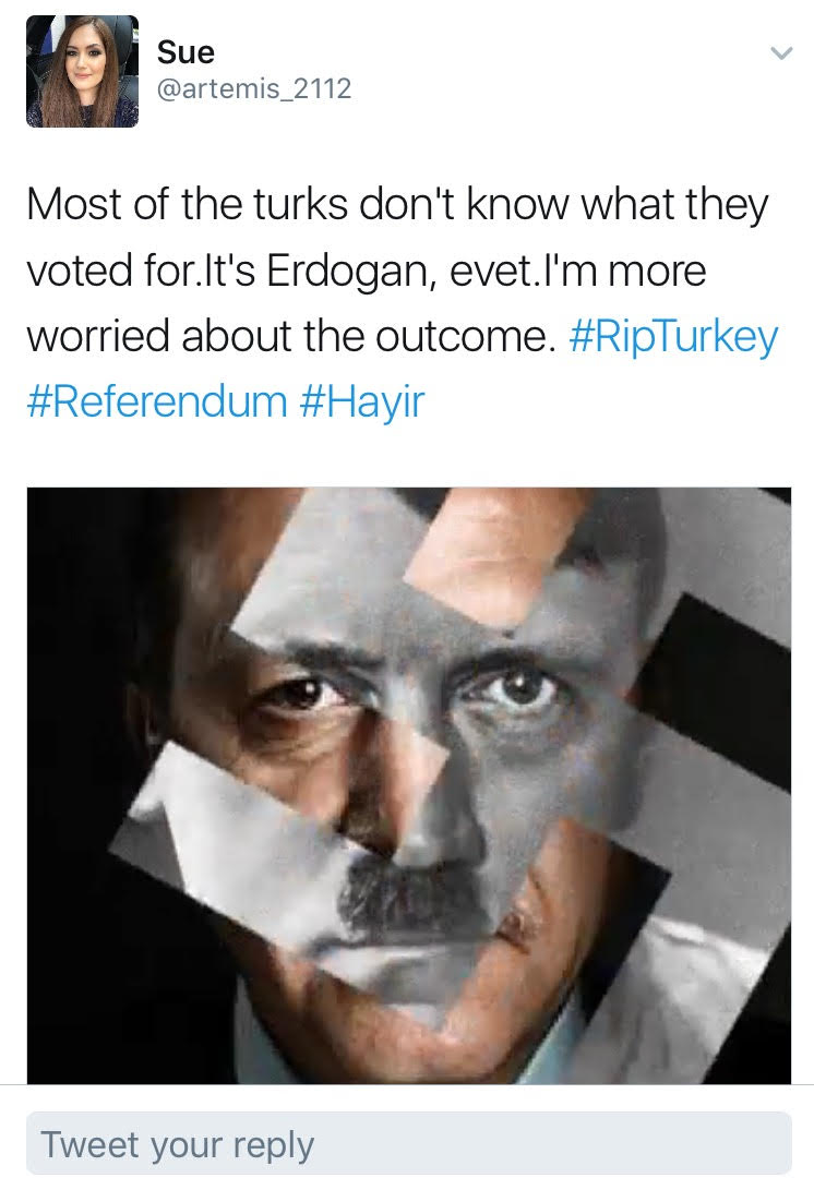 الانتخابات فى تركيا