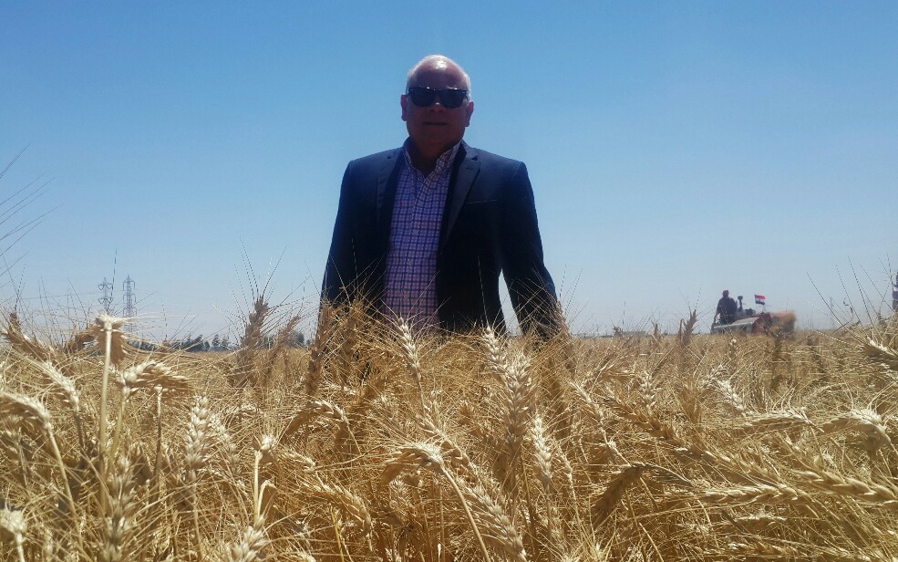 محافظ بورسعيد يشهد حصاد القمح
