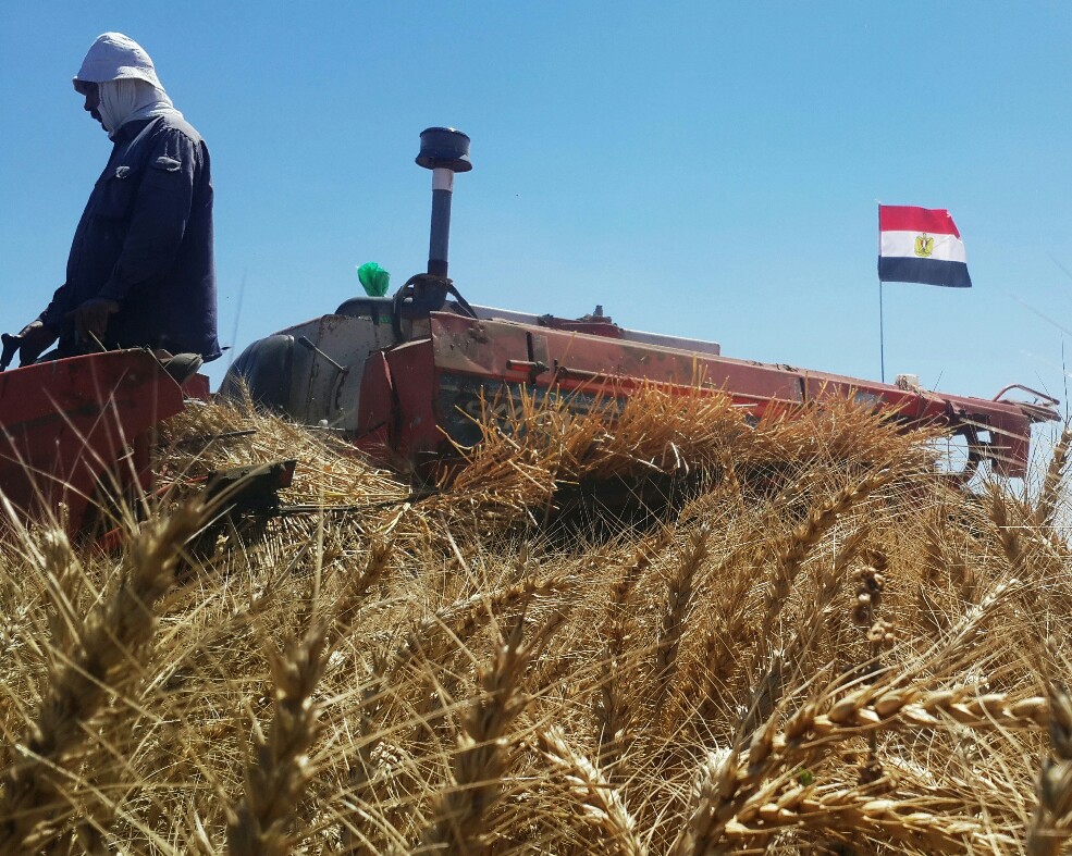 علم مصر يعلو فوق الماكينات الزراعية